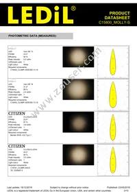 C15800_MOLLY-S Datasheet Page 3