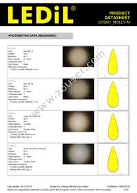 C15801_MOLLY-M Datasheet Page 3