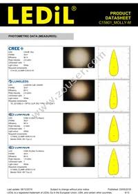 C15801_MOLLY-M Datasheet Page 6