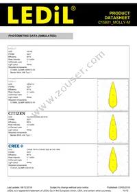 C15801_MOLLY-M Datasheet Page 10