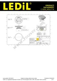 C15802_MOLLY-W Datasheet Page 2