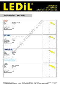 C15962_STRADA-2X2-FS3 Datasheet Page 11