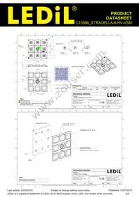 C15986_STRADELLA-8-HV-VSM Datasheet Page 2