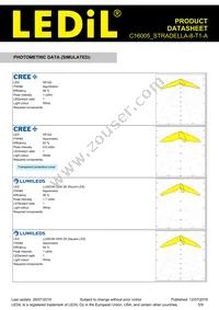 C16005_STRADELLA-8-T1-A Datasheet Page 5