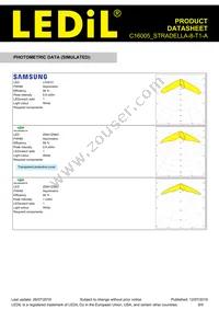C16005_STRADELLA-8-T1-A Datasheet Page 8