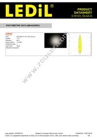 C16123_OLGA-S Datasheet Page 4