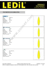 C16124_OLGA-M Datasheet Page 4