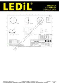 C16125_OLGA-W Datasheet Page 2