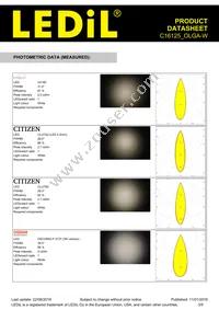 C16125_OLGA-W Datasheet Page 3