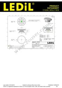 C16264_MOLLY-M-B Datasheet Page 2