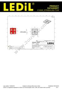 C16505_STRADA-2X2-T3-M Datasheet Page 2