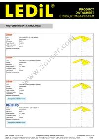 C16505_STRADA-2X2-T3-M Datasheet Page 11