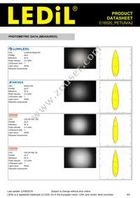 C16520_PETUNIA2 Datasheet Page 4