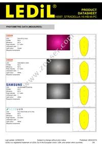 C16597_STRADELLA-16-HB-M-PC Datasheet Page 3