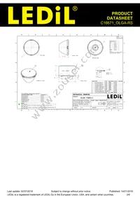 C16671_OLGA-RS Datasheet Page 2