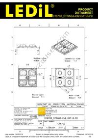 C16702_STRADA-2X2-CAT-B-PC Datasheet Page 2