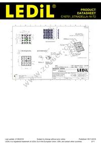 C16751_STRADELLA-16-T2 Datasheet Page 2