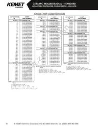 C192C102G2G5CA Datasheet Page 10