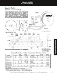 C192C102G2G5CA Datasheet Page 15