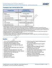 C2225X102JZGACTU Datasheet Page 2