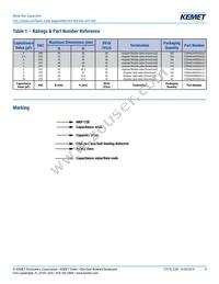 C284ACR4300AL0J Datasheet Page 4