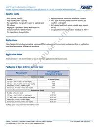 C315C102J3H5TA91707301 Datasheet Page 2