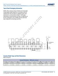 C315C102J3H5TA91707301 Datasheet Page 18