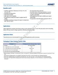 C317C100K2G5TA7301 Datasheet Page 2