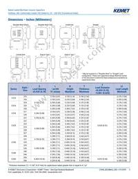 C317C100K2G5TA7301 Datasheet Page 3