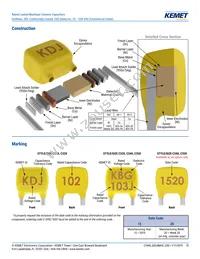 C317C100K2G5TA7301 Datasheet Page 15