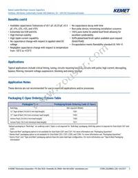 C317C229C1G5TA Datasheet Page 2