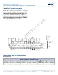 C317C229C1G5TA Datasheet Page 17