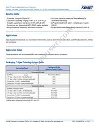 C320C105K5N5TA9170 Datasheet Page 2