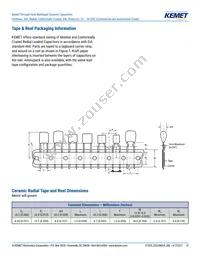 C320C105K5N5TA9170 Datasheet Page 13