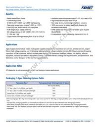 C330C124KCR5TA Datasheet Page 2