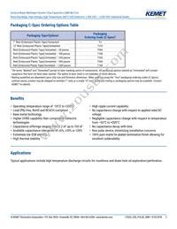 C3640H473KGGWCT050 Datasheet Page 2