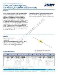 C410C104K5R5TA91707200 Datasheet Cover