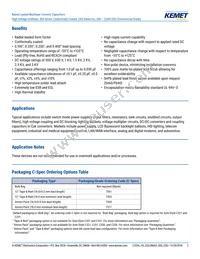 C410C159C5G5TA3810 Datasheet Page 2