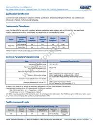 C410C159C5G5TA3810 Datasheet Page 4