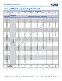 C410C159C5G5TA3810 Datasheet Page 14