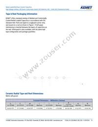 C410C159C5G5TA3810 Datasheet Page 19