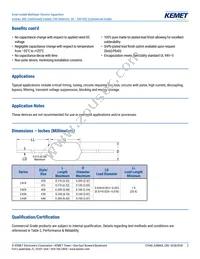 C420C822K2G5TA Datasheet Page 2