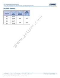 C420C822K2G5TA Datasheet Page 13