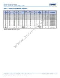 C44HFG35800ZB0J Datasheet Page 4