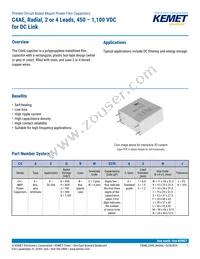 C4AEQBW5120A3LJ Datasheet Cover