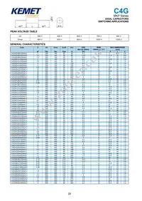 C4ATGBU4220A1DJ Datasheet Page 20