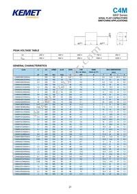 C4ATGBU4220A1DJ Datasheet Page 21