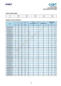 C4BSNBX4150ZBJJ Datasheet Page 3