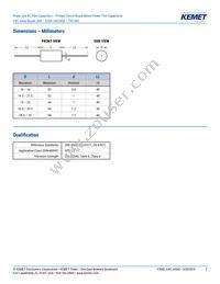 C4CAPUB3100AA0J Datasheet Page 2