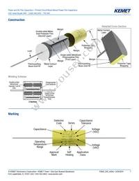 C4CAPUB3100AA0J Datasheet Page 7